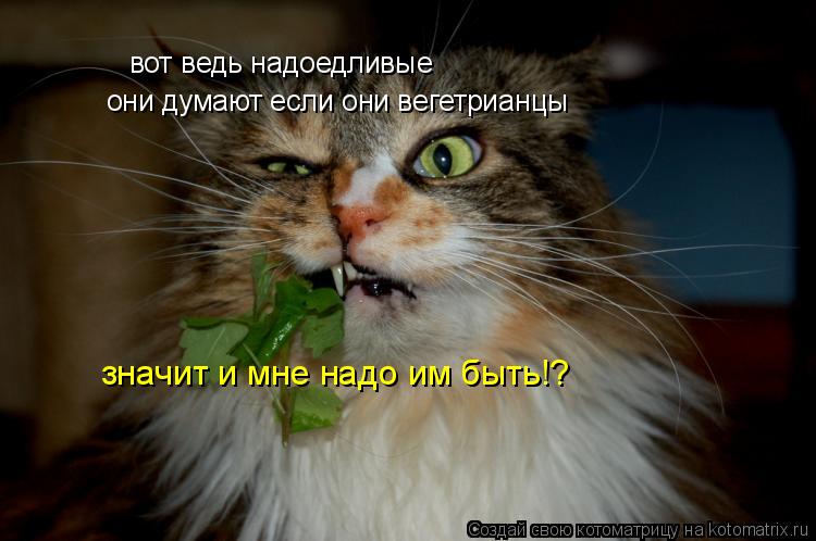 Котоматрица: вот ведь надоедливые они думают если они вегетрианцы значит и мне надо им быть!?