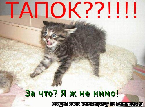 Котоматрица: ТАПОК??!!!! За что? Я ж не мимо!
