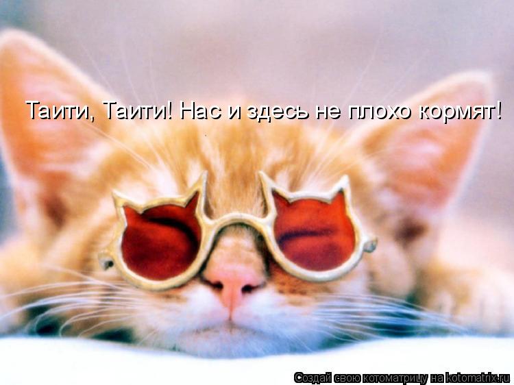 Котоматрица: Таити, Таити! Нас и здесь не плохо кормят!