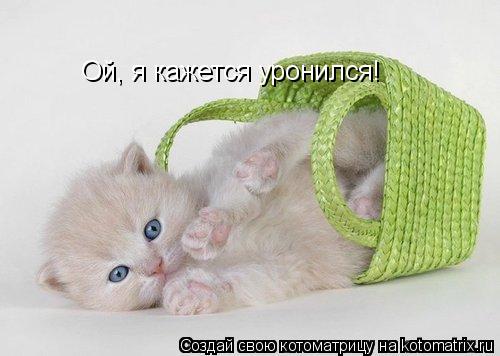 Ой, я кажется уронился!... Котоматрица: Ой, я кажется уронился!