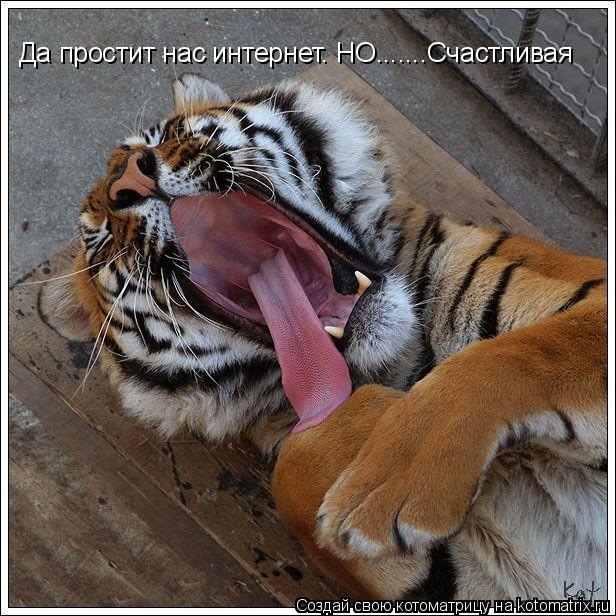 Котоматрица: Да простит нас интернет. НО.......Счастливая