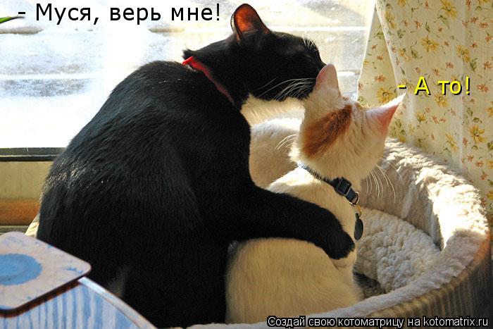 Котоматрица: - Муся, верь мне! - А то!