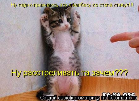 Ну ладно признаюсь это я калбасу со стола стинул!!! Ну расстреливать та зачем???... Котоматрица: Ну ладно признаюсь это я калбасу со стола стинул!!! Ну расстреливать та зачем???