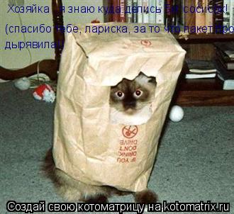 Хозяйка , я знаю куда делись 5кг сосисок! (спасибо тебе, лариска, за то что пакет про- дырявила!)... Котоматрица: Хозяйка , я знаю куда делись 5кг сосисок! (спасибо тебе, лариска, за то что пакет про- дырявила!)