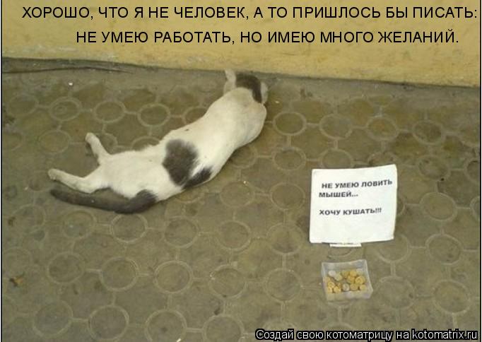 Котоматрица: ХОРОШО, ЧТО Я НЕ ЧЕЛОВЕК, А ТО ПРИШЛОСЬ БЫ ПИСАТЬ: НЕ УМЕЮ РАБОТАТЬ, НО ИМЕЮ МНОГО ЖЕЛАНИЙ.