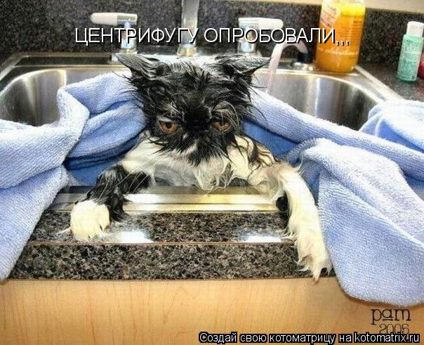 Котоматрица: ЦЕНТРИФУГУ ОПРОБОВАЛИ,,,