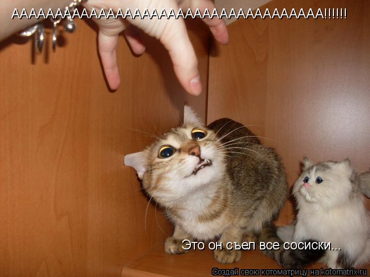 Котоматрица: АААААААААААААААААААААААААААААААААААА!!!!!! Это он съел все сосиски...