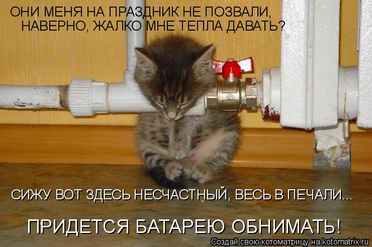 Котоматрица: ОНИ МЕНЯ НА ПРАЗДНИК НЕ ПОЗВАЛИ,  НАВЕРНО, ЖАЛКО МНЕ ТЕПЛА ДАВАТЬ? СИЖУ ВОТ ЗДЕСЬ НЕСЧАСТНЫЙ, ВЕСЬ В ПЕЧАЛИ... ПРИДЕТСЯ БАТАРЕЮ ОБНИМАТЬ!