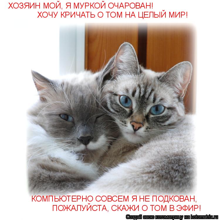 Котоматрица: ХОЗЯИН МОЙ, Я МУРКОЙ ОЧАРОВАН! ХОЧУ КРИЧАТЬ О ТОМ НА ЦЕЛЫЙ МИР! КОМПЬЮТЕРНО СОВСЕМ Я НЕ ПОДКОВАН,  ПОЖАЛУЙСТА, СКАЖИ О ТОМ В ЭФИР!