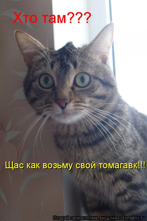Котоматрица: Хто там??? Щас как возьму свой томагавк!!!