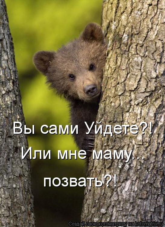 Котоматрица: Вы сами Уйдете?! Или мне маму... позвать?!