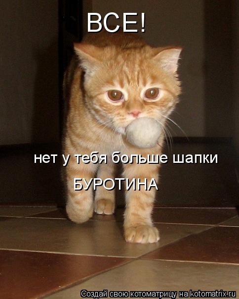 Котоматрица: ВСЕ! нет у тебя больше шапки БУРОТИНА
