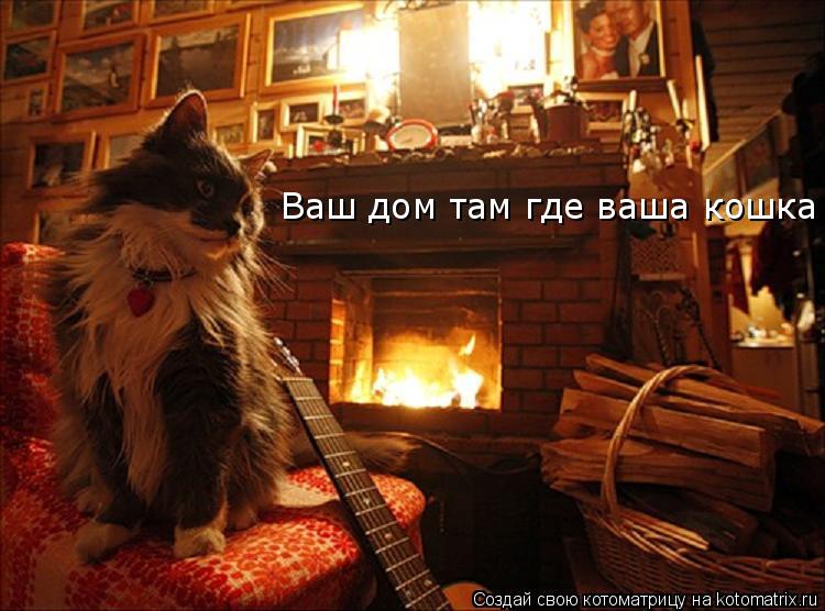 Котоматрица: Ваш дом там где ваша кошка