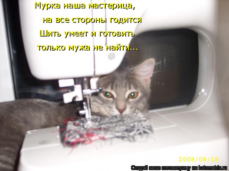 Котоматрица: Мурка наша мастерица, на все стороны годится Шить умеет и готовить только мужа не найти...