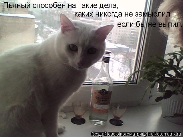 Котоматрица: Пьяный способен на такие дела, каких никогда не замыслил,   если бы не выпил.
