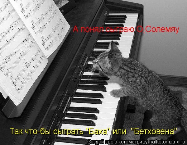 Котоматрица: Так что-бы сыграть "Баха" или  "Бетховена" А понял сыграю О,Солемяу
