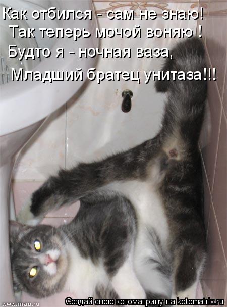 Котоматрица: Как отбился - сам не знаю!    Так теперь мочой воняю !  Будто я - ночная ваза,    Младший братец унитаза!!!