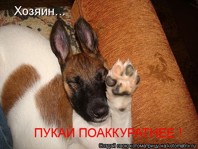 Котоматрица: Хозяин... ПУКАЙ ПОАККУРАТНЕЕ !
