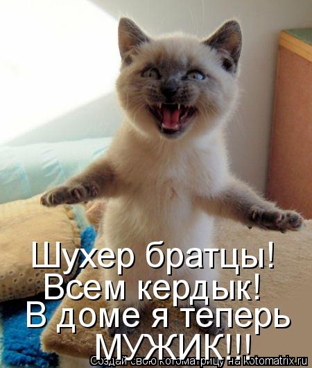Котоматрица: Всем кердык! В доме я теперь МУЖИК!!! Шухер братцы!