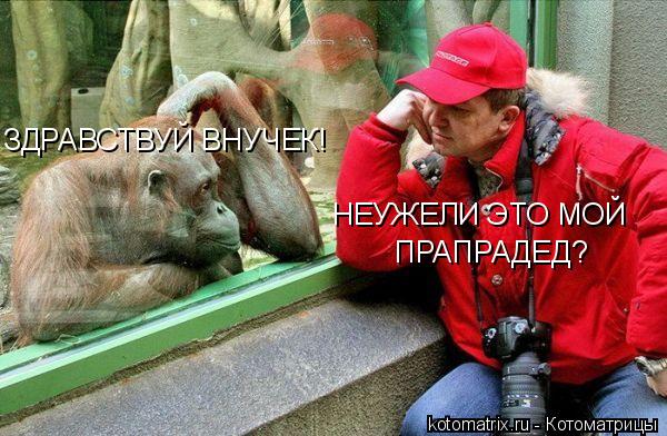 Котоматрица: НЕУЖЕЛИ ЭТО МОЙ ПРАПРАДЕД? ЗДРАВСТВУЙ ВНУЧЕК!