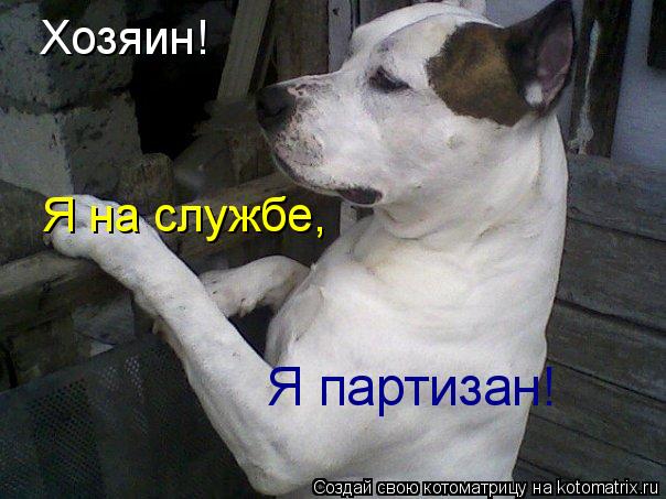 Котоматрица: Хозяин! Я на службе, Я партизан!