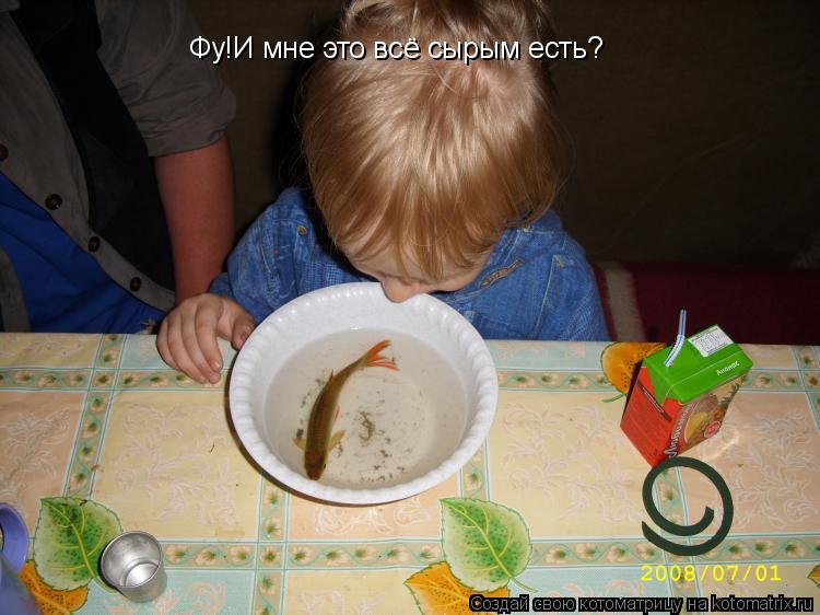 Котоматрица: Фу!И мне это всё сырым есть?