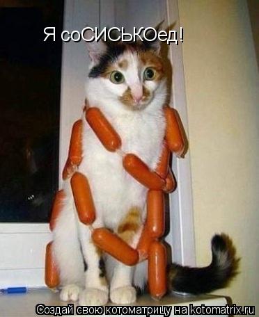 Котоматрица: Я соСИСЬКОед!