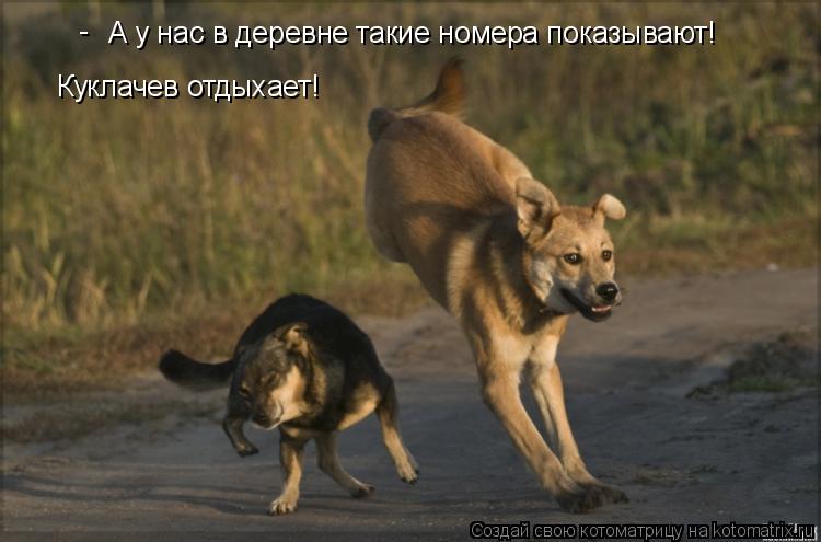 Котоматрица: А у нас в деревне такие номера показывают! Куклачев отдыхает! -