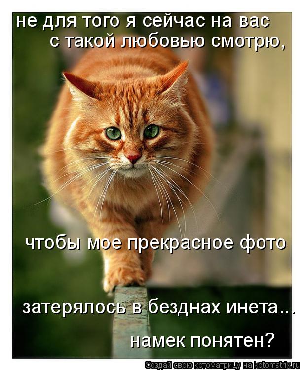 Котоматрица: не для того я сейчас на вас  с такой любовью смотрю,  чтобы мое прекрасное фото  затерялось в безднах инета... намек понятен?