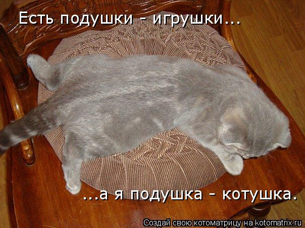 Котоматрица: Есть подушки - игрушки... ...а я подушка - котушка.