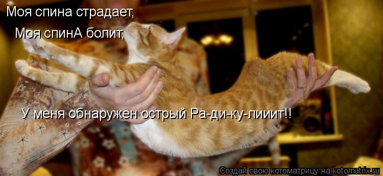 Котоматрица: Моя спина страдает, Моя спинА болит, У меня обнаружен острый Ра-ди-ку-лииит!!