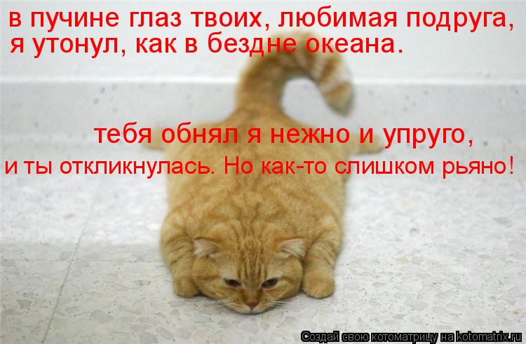 Котоматрица: в пучине глаз твоих, любимая подруга,  я утонул, как в бездне океана.  тебя обнял я нежно и упруго,  и ты откликнулась. Но как-то слишком рьяно!