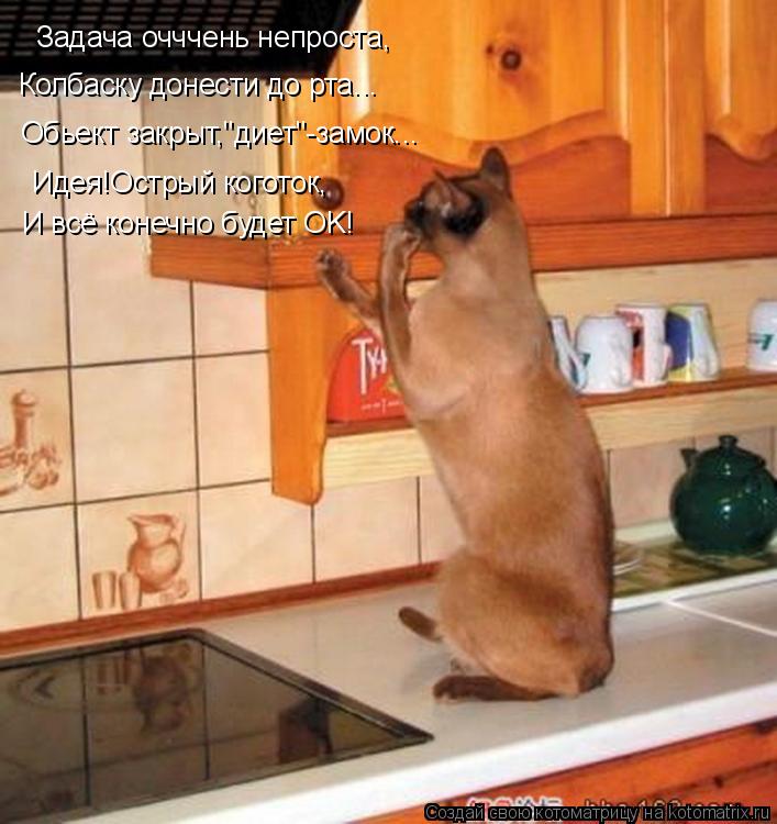 Котоматрица: Задача очччень непроста, Колбаску донести до рта... Обьект закрыт,"диет"-замок... Идея!Острый коготок, И всё конечно будет OK!