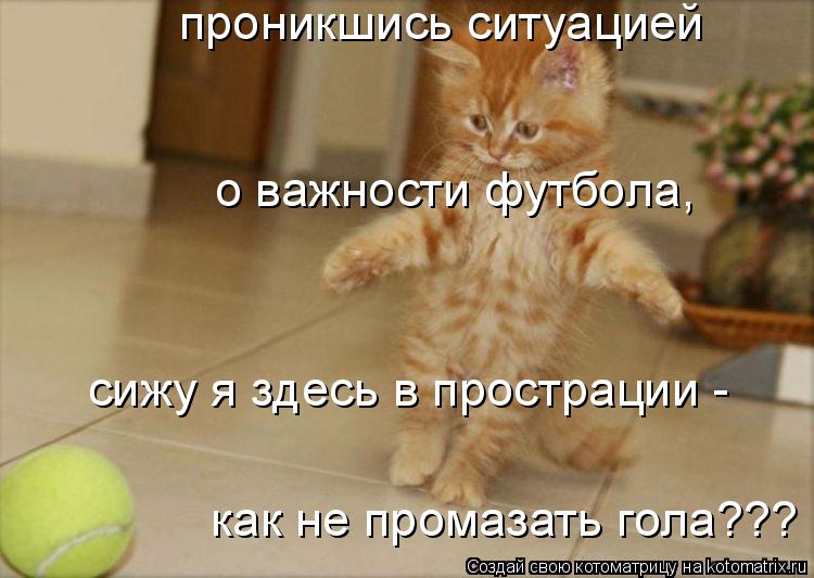 Котоматрица: проникшись ситуацией  о важности футбола,  сижу я здесь в прострации -  как не промазать гола???