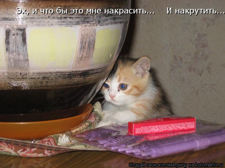 Эх, и что бы это мне накрасить... И накрутить... Эх, и что бы это мне накрасить...... Котоматрица: Эх, и что бы это мне накрасить... И накрутить... Эх, и что бы это мне накрасить...