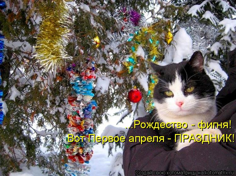 Котоматрица: ...Рождество - фигня! Вот Первое апреля - ПРАЗДНИК!