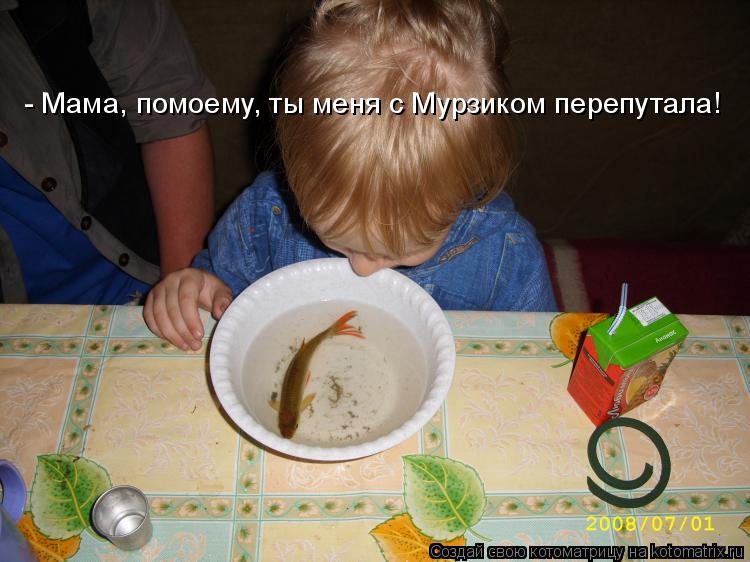 - Мама, помоему, ты меня с Мурзиком перепутала!... Котоматрица: - Мама, помоему, ты меня с Мурзиком перепутала!