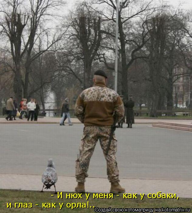 - И нюх у меня - как у собаки, и глаз - как у орла!..... Котоматрица: - И нюх у меня - как у собаки, и глаз - как у орла!..