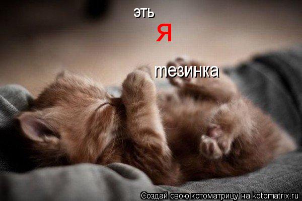 Котоматрица: эть я meзинка