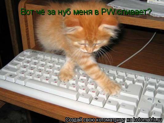 Котоматрица: Вот чё за нуб меня в PW сливает?