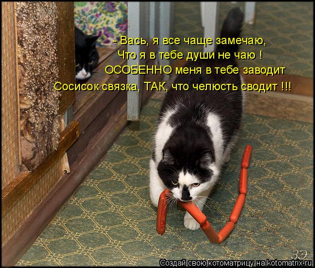 - Вась, я все чаще замечаю, Сосисок связка, ТАК, что челюсть сводит !!! Что я в тебе души не чаю ! ОС... Котоматрица: - Вась, я все чаще замечаю, Сосисок связка, ТАК, что челюсть сводит !!! Что я в тебе души не чаю ! ОСОБЕННО меня в тебе заводит