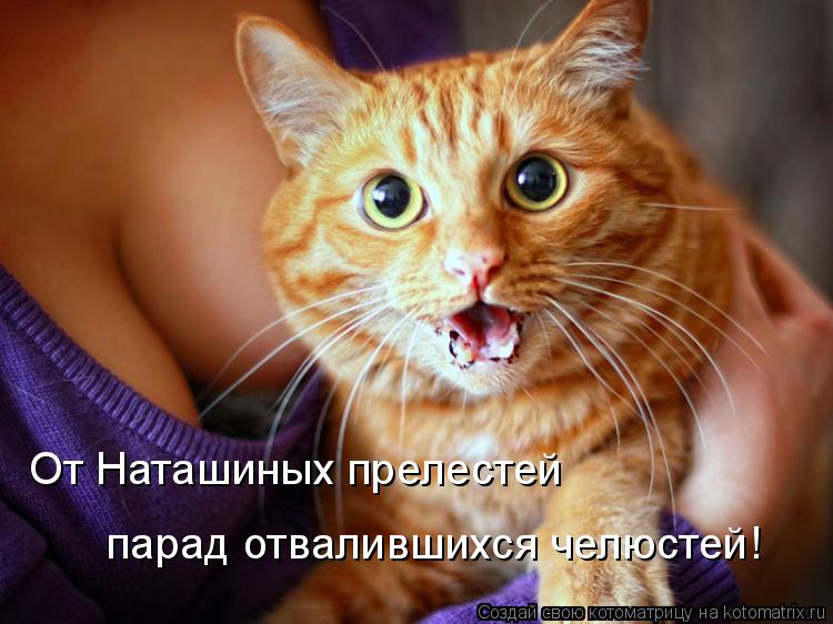 Котоматрица: От Наташиных прелестей парад отвалившихся челюстей!