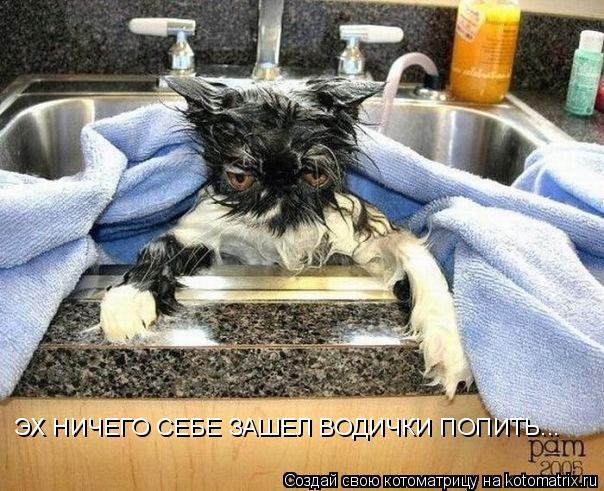 Котоматрица: ЭХ НИЧЕГО СЕБЕ ЗАШЕЛ ВОДИЧКИ ПОПИТЬ...