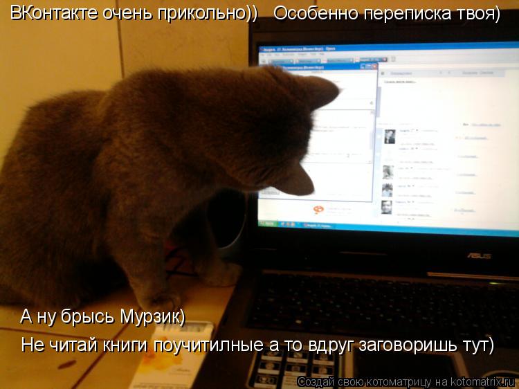 Котоматрица: ВКонтакте очень прикольно)) Особенно переписка твоя) А ну брысь Мурзик) Не читай книги поучитилные а то вдруг заговоришь тут)