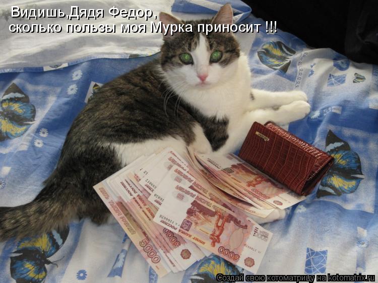 Котоматрица: Видишь,Дядя Федор, сколько пользы моя Мурка приносит !!!