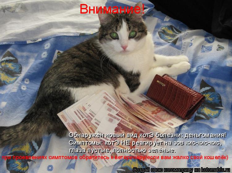 Котоматрица: Внимание! Обнаружен новый вид котЭ болезни: деньгомания! Симптомы: котЭ НЕ реагирует на зов кис-кис-кис, глаза пустые, полностью зелёные. при