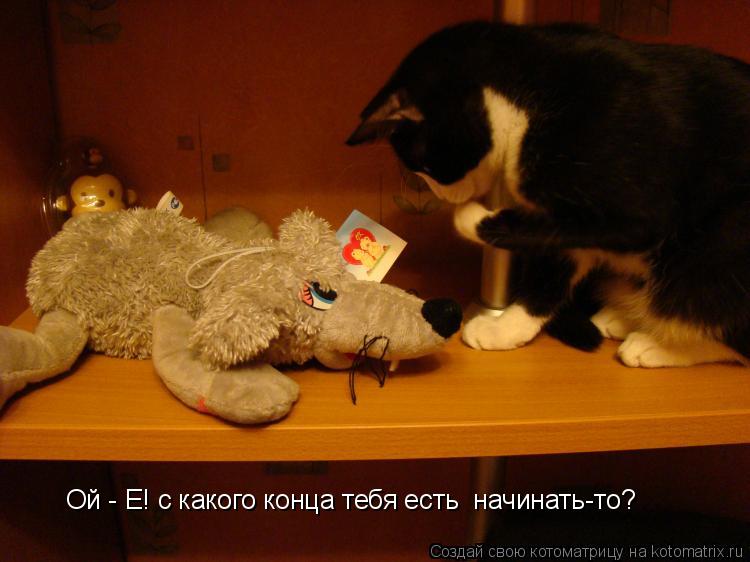 Котоматрица: Ой - Е! с какого конца тебя есть  начинать-то?