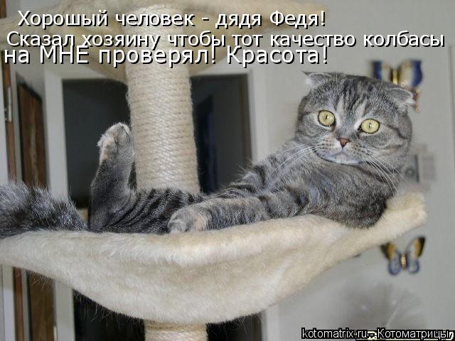 Котоматрица: Хорошый человек - дядя Федя! Сказал хозяину чтобы тот качество колбасы на МНЕ проверял! Красота!