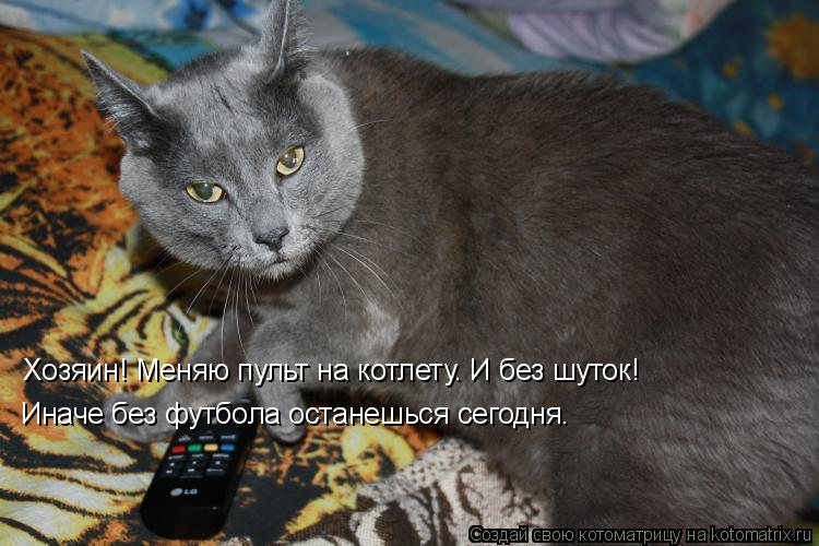 Котоматрица: Хозяин! Меняю пульт на котлету. И без шуток! Иначе без футбола останешься сегодня.