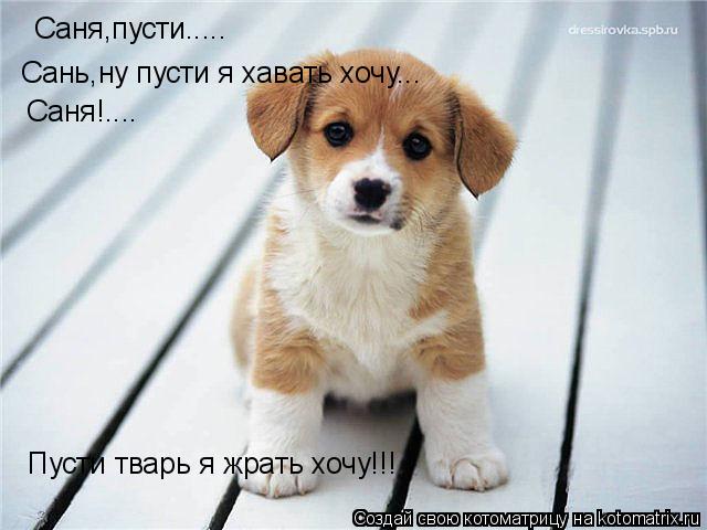 Саня,пусти..... Сань,ну пусти я хавать хочу... Саня!.... Пусти тварь я жрать хочу!!!... Котоматрица: Саня,пусти..... Сань,ну пусти я хавать хочу... Саня!.... Пусти тварь я жрать хочу!!!